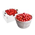 Local field-fresh Roma tomatoes displayed in a bushel basket and harvest box, ideal for sauce season and bulk cooking.